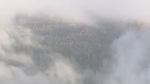 Scenic mountain forest in the mist Stock Footage 59318929