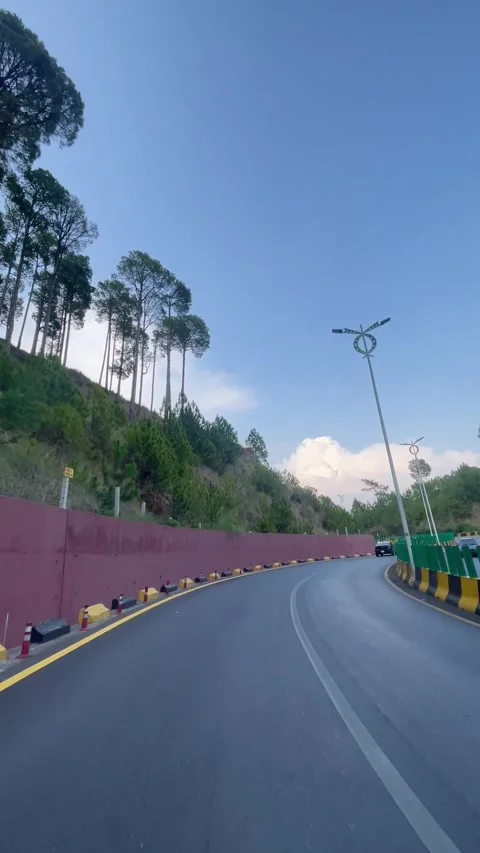 Scenic Mountain Highway Driving Through Lush Pine Forest | Winding Road  動画素材 343612334
