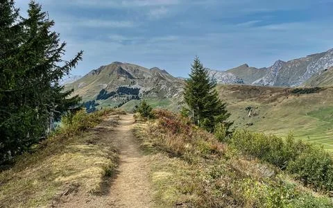 Scenic mountain hiking path through alpine meadows with fir trees and dista.. Stock Photos