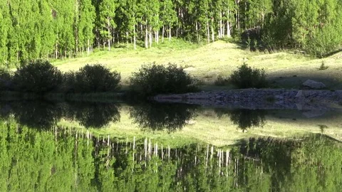 Scenic Mountain Lake Reflection Vídeos de archivo 77430603