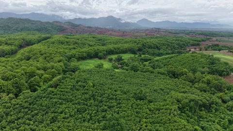 Scenic Mountain Landscape After Rain – Drone View Video stock 310513432