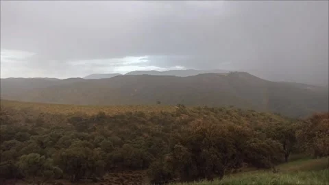 Scenic Mountain Landscape and Forest Under Cloudy Sky Stock Footage 335576272