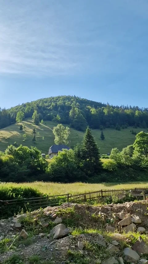 Scenic Mountain Landscape with Pine Tree in Motion Stock Footage 308737756