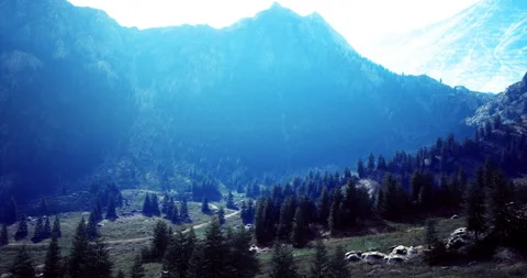 Scenic mountain landscape with pine trees in bright daylight Video stock 307754274