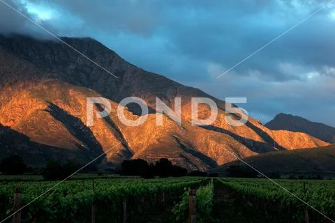 Scenic mountain landscape with vineyards, Western Cape, South Africa Stock Photos
