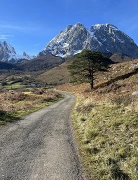 Scenic mountain path winds through green fields under a clear blue sky with.. Stock Photos