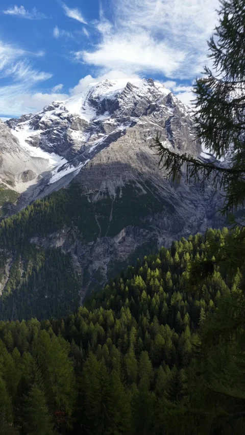 Scenic mountain peak with pine forest and blue sky Видео 327131217