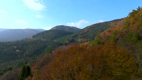 Scenic Mountain Range in Early Autumn Colors – 4K Drone View Stock Footage 336974821