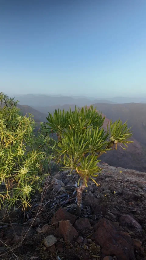 Scenic mountain range landscape of the Canary Islands Video stock 331080134