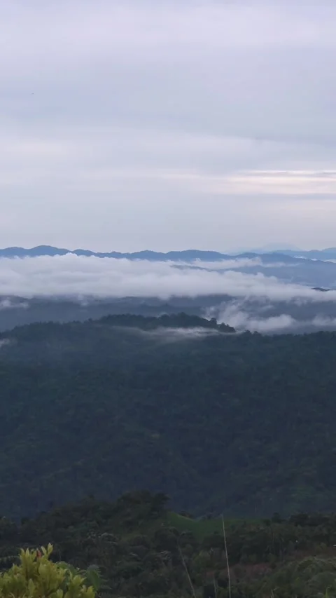 Scenic Mountain Range View with Fog Stock Footage 308767333