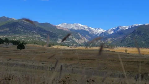 Scenic Mountain Range View with Golden Meadow in Foreground Stock Footage 310705754