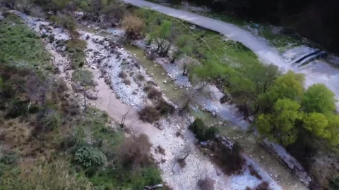 Scenic Mountain River with Dense Trees and Pebbled Banks Stock Footage 305236123