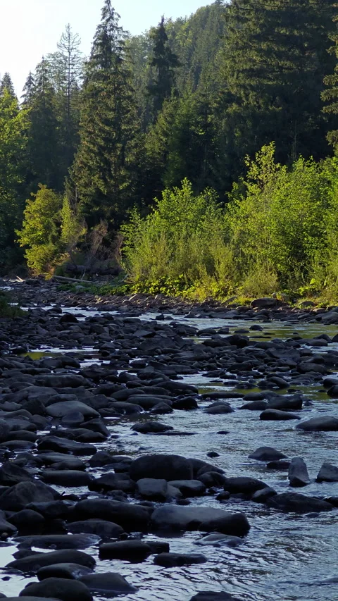 Scenic Mountain River Flowing Over Rocks at Golden Hour Sunlight Stock Footage 344980559
