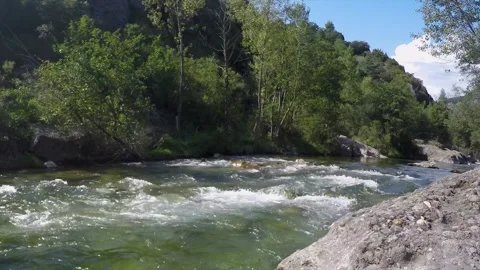 Scenic Mountain River Flowing Through Verdant Forests and Rocky Terrain Stock Footage 236346424