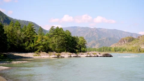 Scenic mountain river with pine forest and rocky peaks background. Stock Footage 315902863