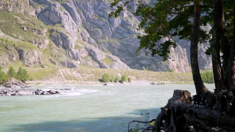 Scenic mountain river with pine forest and rocky peaks background. Stock Footage 315902949