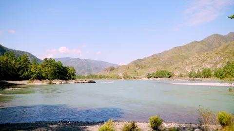 Scenic mountain river with pine forest and rocky peaks background. Stock Footage 315903011