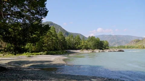 Scenic mountain river with pine forest and rocky peaks background. Stock Footage 315903027