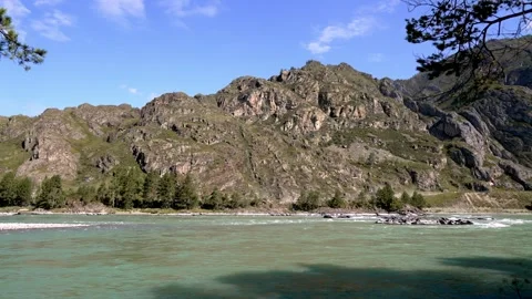 Scenic mountain river with pine forest and rocky peaks background. Stock Footage 315903065