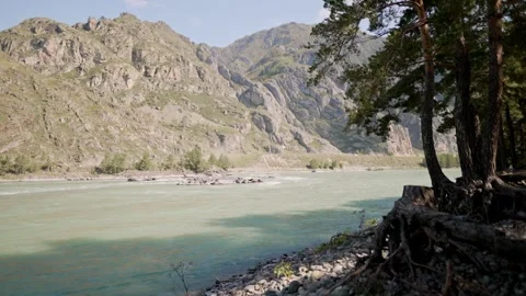 Scenic mountain river with pine forest and rocky peaks background. Video stock 315903101