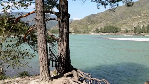Scenic mountain river with pine forest and rocky peaks background. Stock Footage 315903110