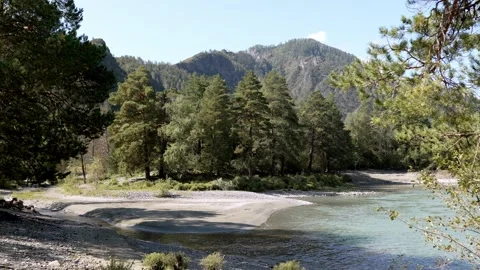 Scenic mountain river with pine forest and rocky peaks background. Stock Footage 315903157
