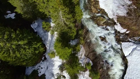 Scenic mountain river rapids in pine forest, wood wilderness, aerial drone view Stock Footage 154412561