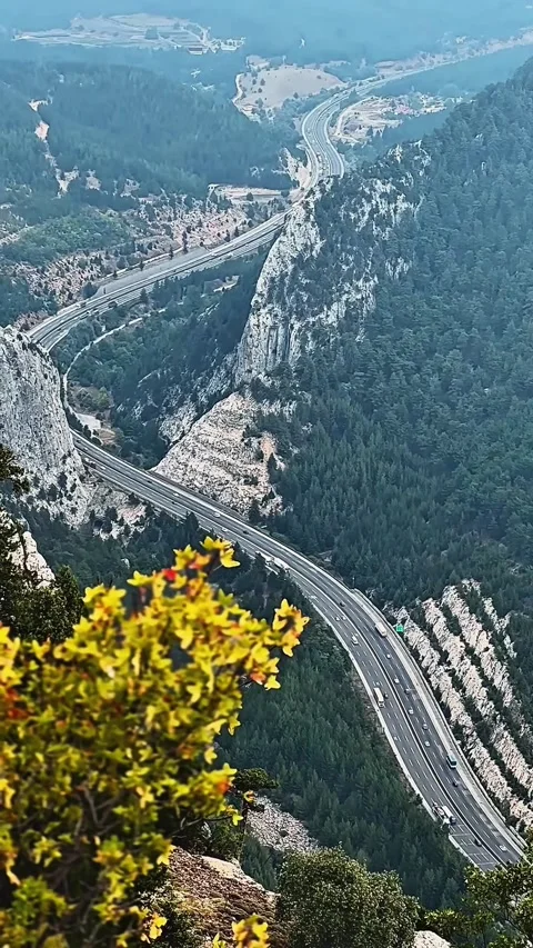 Scenic Mountain Road Through dramatic Forested Canyon Vertical View Stock Footage 305660001