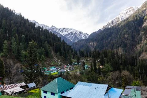 Scenic mountain settlement surrounded by pine trees and snowy himalayan peaks Stock Photos