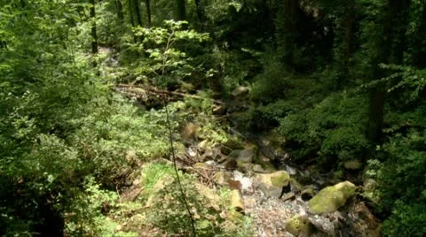 Scenic Mountain Stream - 720 Stock Footage 11863053