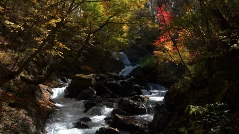 Scenic Mountain Stream in Autumn (loop) Stock-Footage 120002673