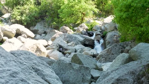Scenic Mountain Stream Cascade at Kareri Lake, Dharamshala Stock Footage 340545373