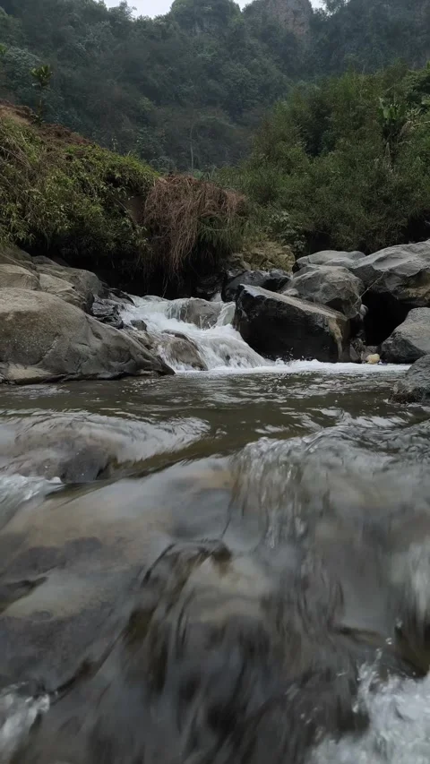 Scenic Mountain Stream Flowing Over Rocks in Lush Tropical Forest Video stock 334488401