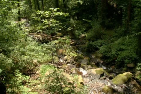 Scenic Mountain Stream - NTSC Stock Footage 11863189