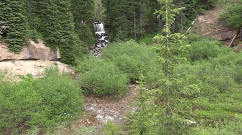 Scenic Mountain Stream in Summer 库存影片 53542652