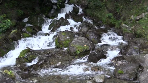 Scenic Mountain Stream in Summer Vídeos de archivo 68327365