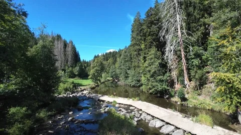Scenic Mountain Streams and Lush Green Forest Landscape Stock Footage 346090691
