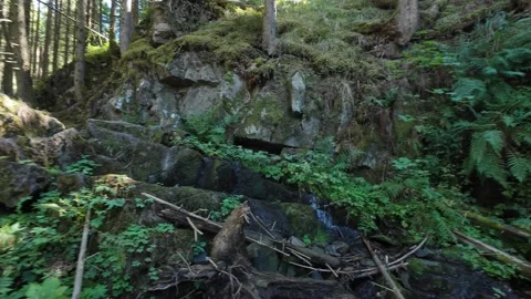 Scenic Mountain Streams and Lush Green Forest Landscape Stock Footage 346091146