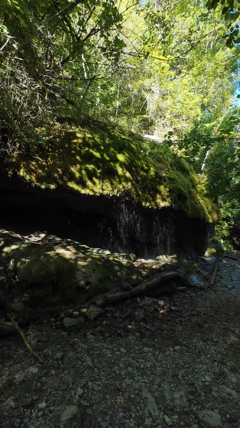 Scenic Mountain Streams and Lush Green Forest Landscape Stock Footage 346096892