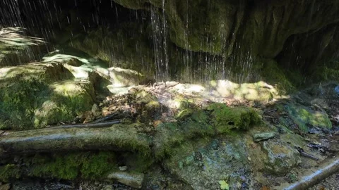 Scenic Mountain Streams and Lush Green Forest Landscape Stock Footage 346097011