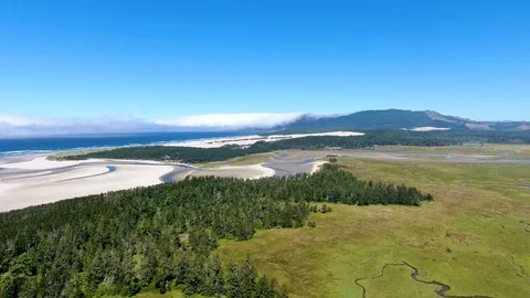 Scenic mountain trees Stock Footage 81793994