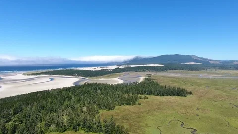 Scenic mountain trees Stock Footage 81972593