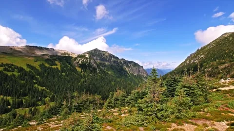 Scenic Mountain Valley View from Berkeley Park Trail, Mount Rainier National Par Video stock 332087572