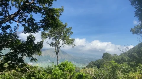 Scenic Mountain Valley View with Lush Tropical Forest Stock Footage 340435475