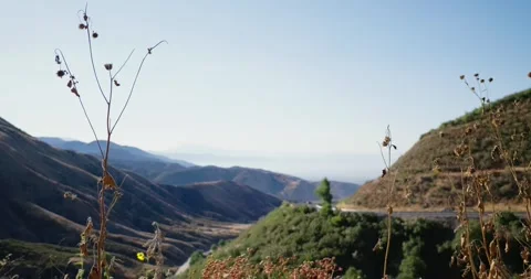 Scenic Mountain Valley View with Sparse Vegetation Stock Footage 323323552
