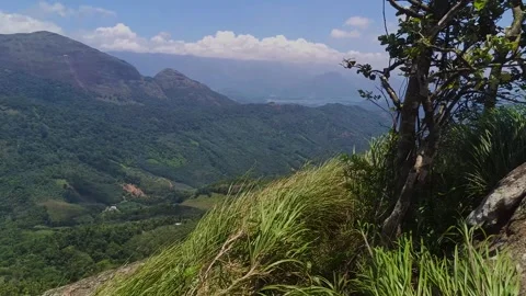 Scenic Mountain View with Breeze Stock Footage 313149983
