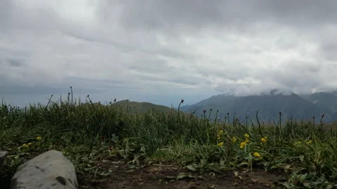 Scenic mountain view with grass and flowers under cloudy sky Video stock 340393492