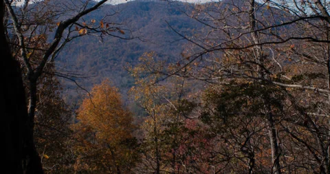 Scenic Mountain View from inside a forest in 4k Stockbeeldmateriaal 144422819
