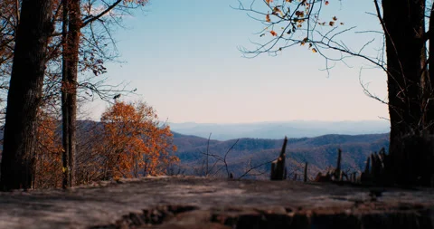 Scenic Mountain View looking out over a stump 4k Stock Footage
