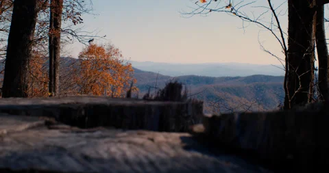 Scenic mountain view looking over a stump 4k Stockbeeldmateriaal 144384999